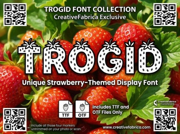 Trogid Display Typeface for Bold Campaigns